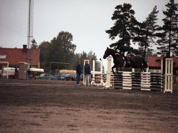 Bild som illustrerar objekt c124-231954