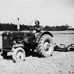 17003 BAN 420 2 - Traktor