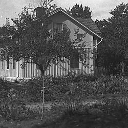 17003 WIKN 19059 - Växthus