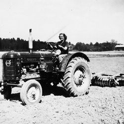 17003 BAN 420 3 - Traktor
