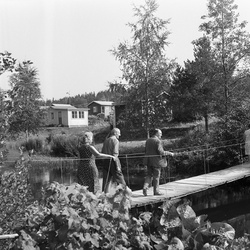 17003 LITN 526 3 - Koloniträdgård