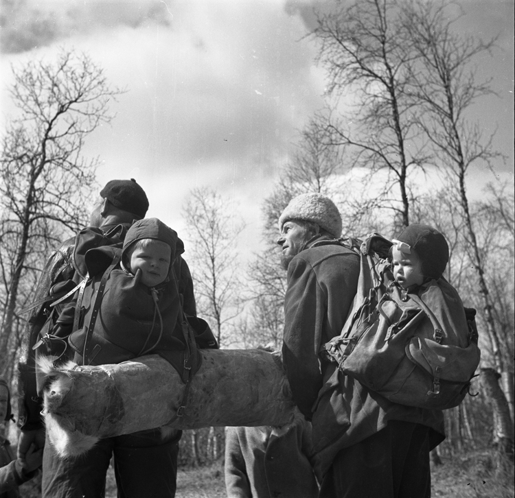 Utflykt i björkskogen, Hemavan 1946