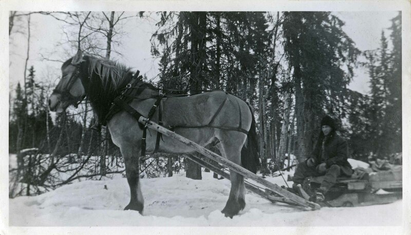 Skogsarbete 1950-tal