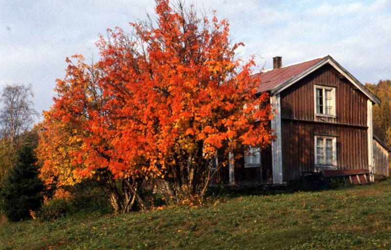 Hilding Johanssons hus i Västansjö