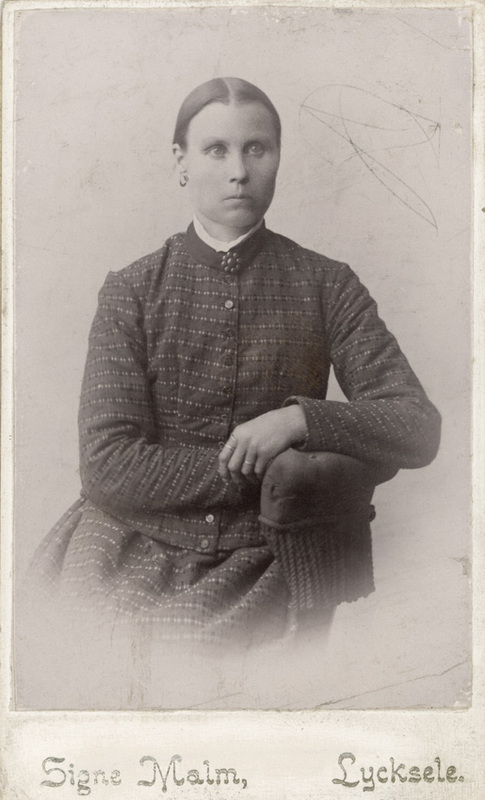 Sara Johanna Andersdotter 1848 - 1920