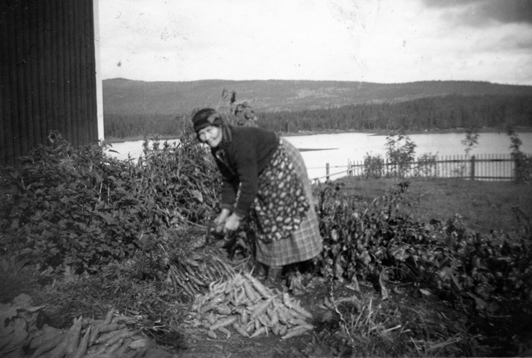 Hanna Karlsson (1882 - 1975) i grönsakslandet, ...
