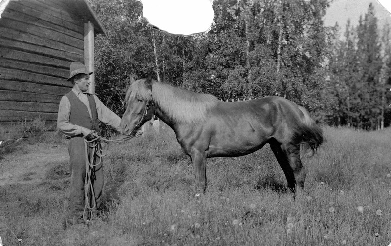 Artur Lindström 1897 - 1977 med hästen Freja
