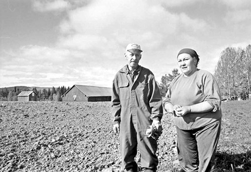 Strävsamma jordbrukare i Skansholm.