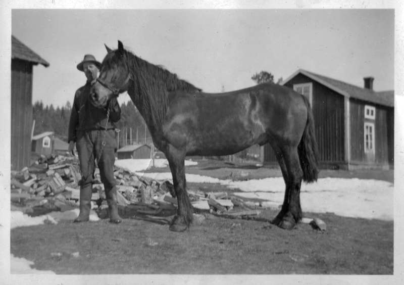 Nicke Backlund med sin häst.