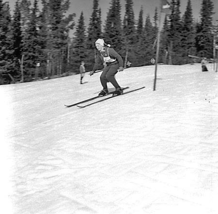 Slalom i Granbergsbacken, mars-1960