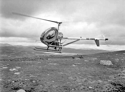 Helikopter används i modern renskötsel.
