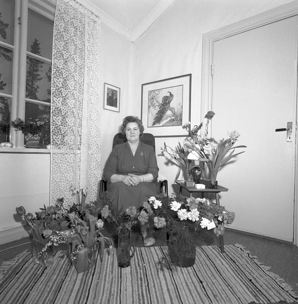 Aina Elisabet Blomqvists 50-årsdag.