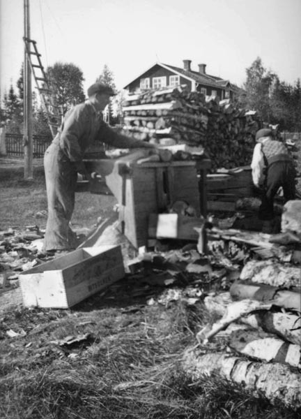 Gengasved sågas i Skansholm, 1943.