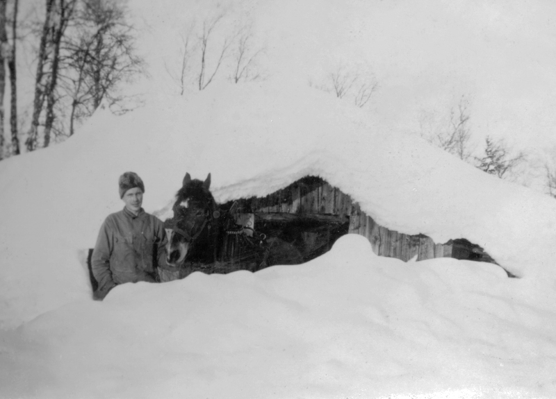Henrik Gustafsson, Ulvoberg med en häst.