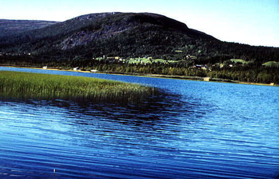 Matsdal med Lillsjön i förgrunden.