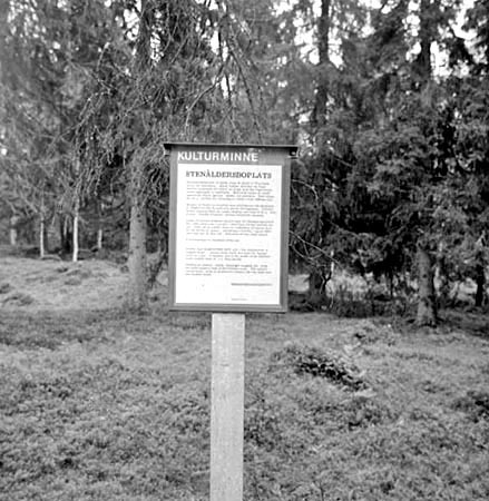 Björngraven vid Gråtanån.