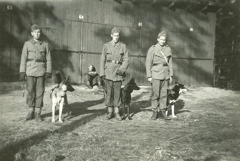 Militärer med hundar