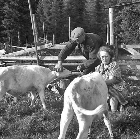 Dagmar Johansson, Hornsjö, 1958.