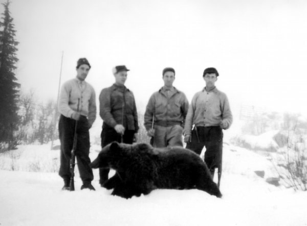 Björnjakt Blaikliden 1950-talet