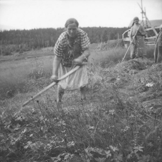 Ingeborg  slår hö i Lövberg 1944.