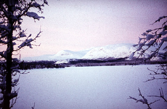 Vinterbild från Södra Marsfjällen, Vilhelmina.