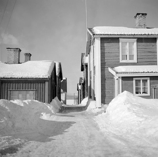 Vintervy av Vilhelmina Kyrkstad.