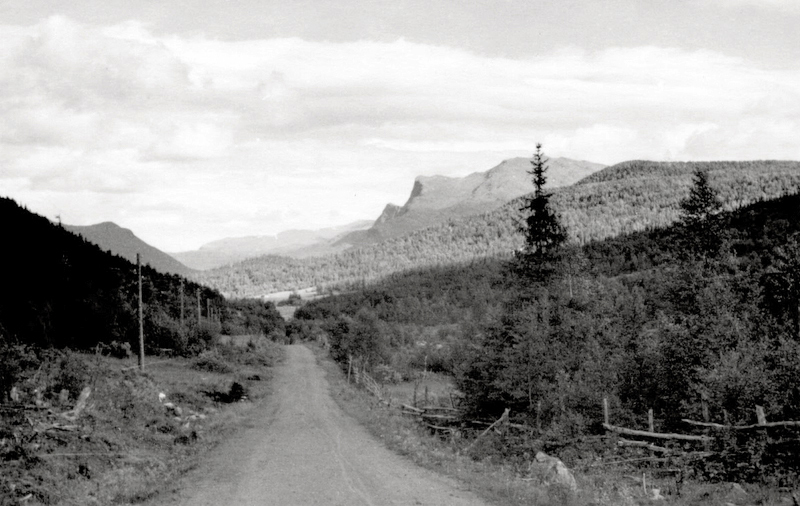 Vägen österut från Storbacken.