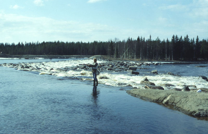 Fiske i Vojmån maj 1991.