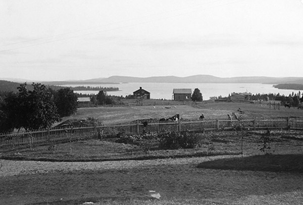 Utsikt från Lövliden över Volgsjön.
