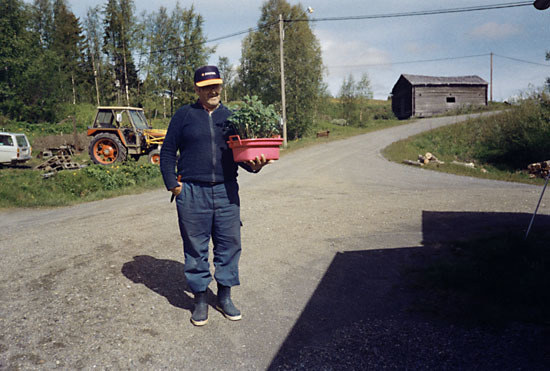 Harry bär på grödor i Dajkanvik.