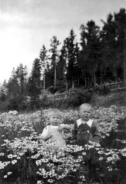 Två okända barn på blommande sommaräng. 