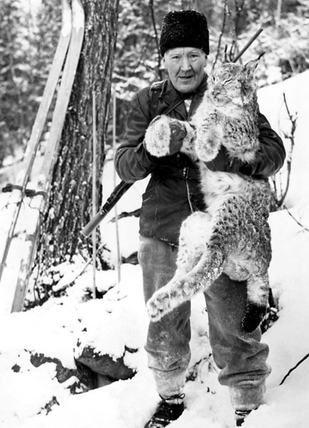 Erik Viktorsson med lodjur 1966.