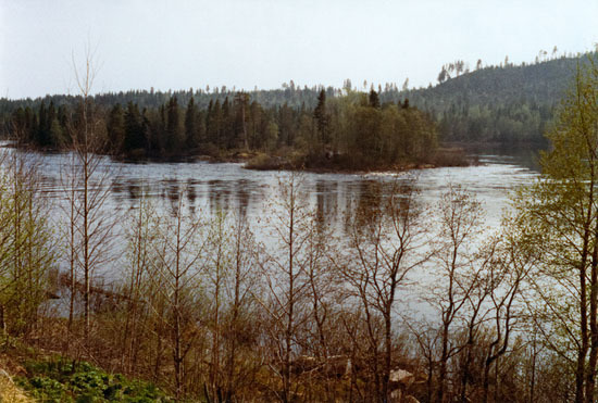 Vy över Råseleforsen.