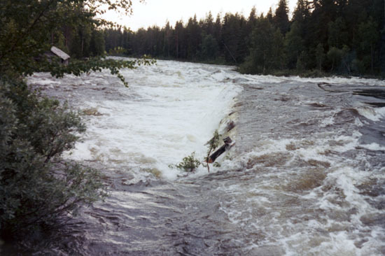 Vårflod vid Hornforsen, Vojmån.