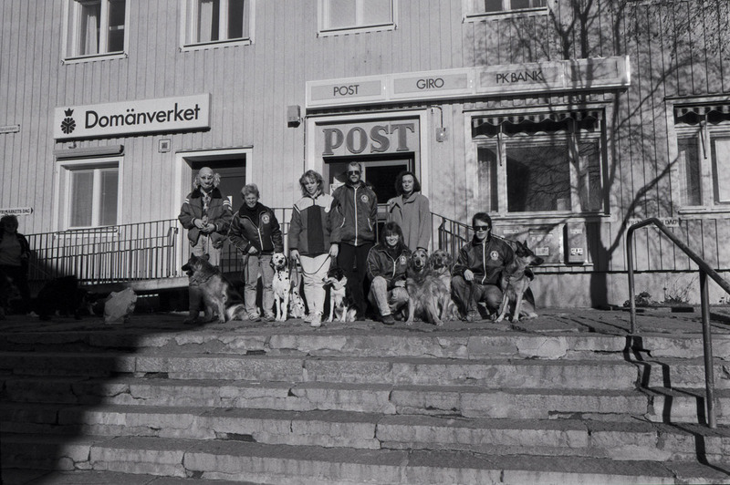 Brukshundsklubben vid posten i Vilhelmina.