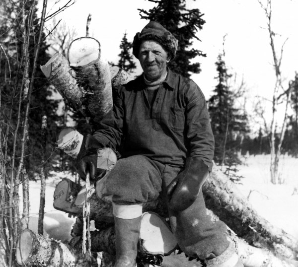 Porträtt av Erhard Hellqvist i vedskogen.