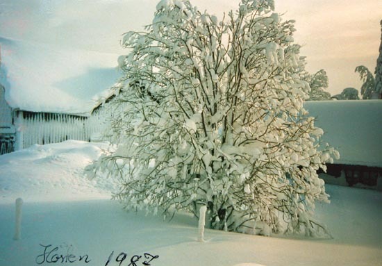 Hösten 1987 från John Lindgrens Köksfönster 