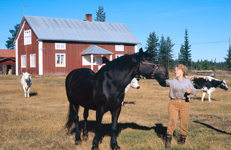 Lilly tillsammans med en häst.