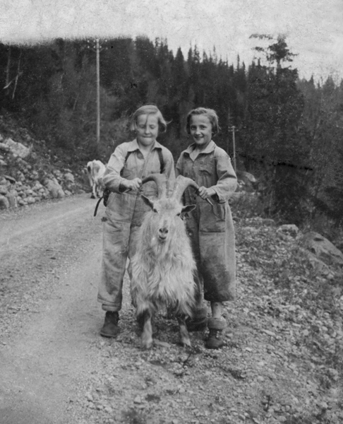 Sommaren 1938. Bångnäs.