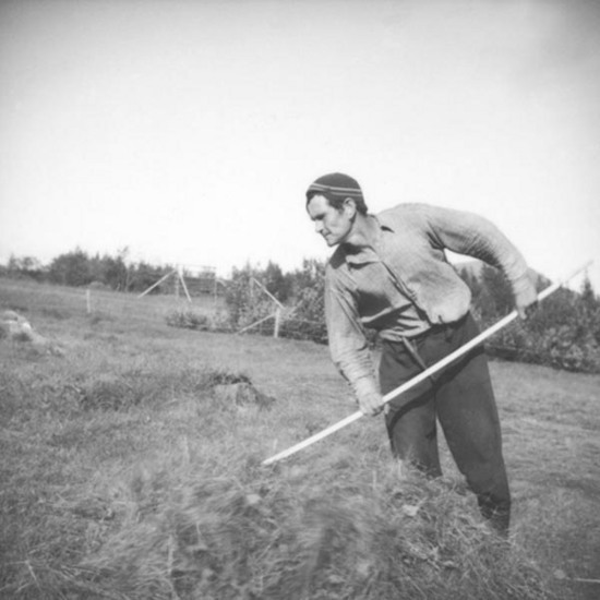 Hjalmar Larsson i Marsliden, hässjar, 1946.
