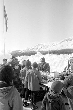 Fjällnappet 1966, negativ 