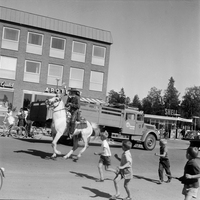 VF 000434i - Trolle Rhodins Zoo Cirkus