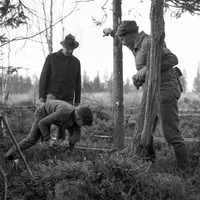 AS 00008d.3533 - Utbildning i skogsavverkning.