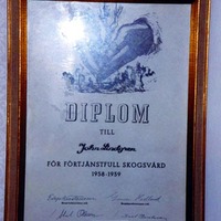 JL 00336 - Diplom