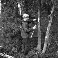 AS 00008d.3536 - Utbildning i skogsstämpling.
