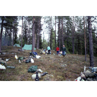 MA 367 - Camping