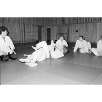 VF 003833 - Judoträning