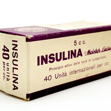 Insulina, Meister Lucius
