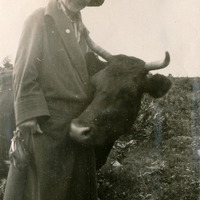 492-159 - Iris med en ko
