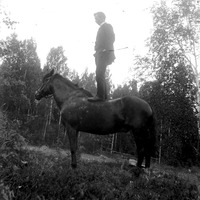 528-003 - Man och häst